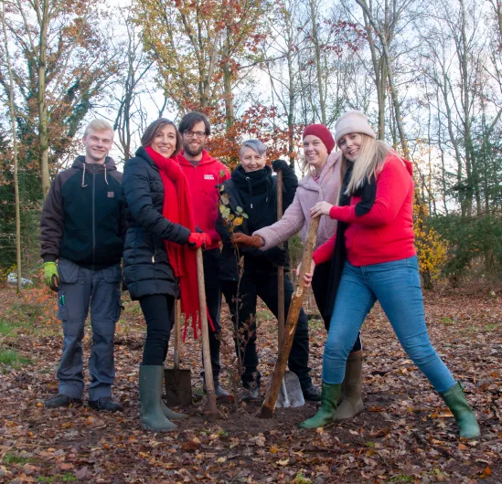 Team Orakel planting trees to offset some of our CO₂ emissions